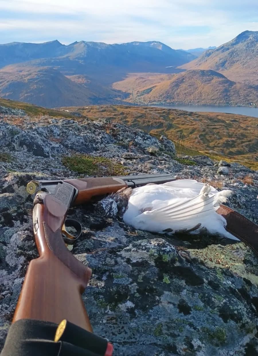 Rype og predatorjakt i Nordre Kaldfjord
